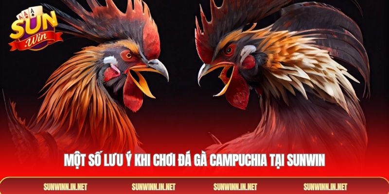 Một số lưu ý khi chơi đá gà Campuchia tại SUNWIN