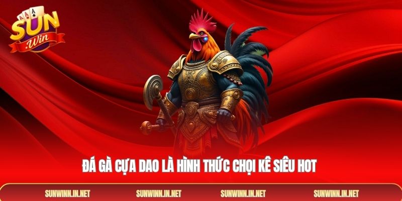 Đá gà cựa dao là hình thức chọi kê siêu hot 