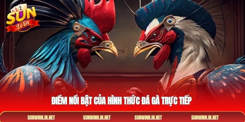 Điểm nổi bật của hình thức đá gà trực tiếp